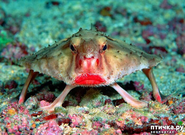 ���� 2: ��� -����� ����� ��������� ��������