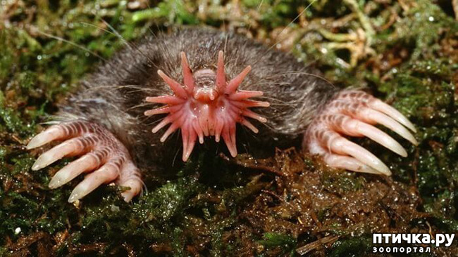 ���� 4: ��� -����� ����� ��������� ��������