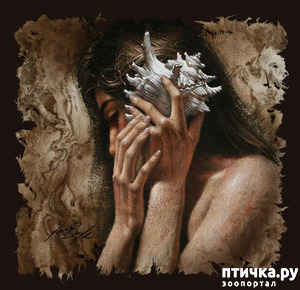 фотография: Ли и Колин Богл фото: Ли и Колин Богл