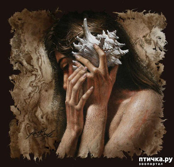 ���� 1: �� � ����� ����