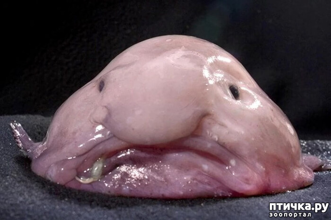 ���� 7: ��� -����� ����� ��������� ��������