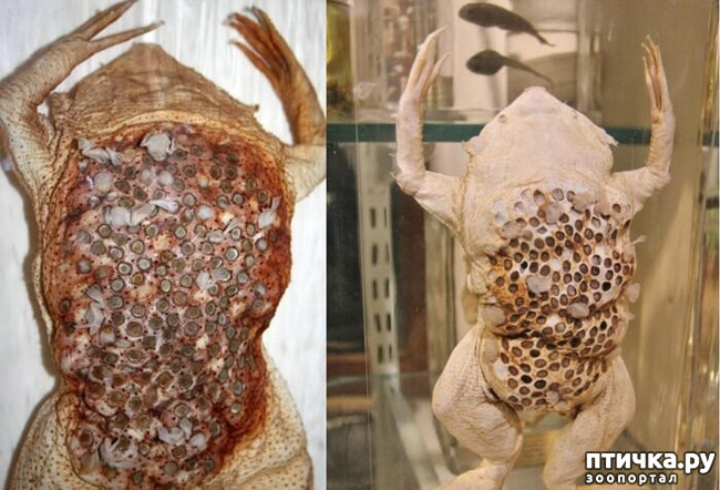 ���� 8: ��� -����� ����� ��������� ��������