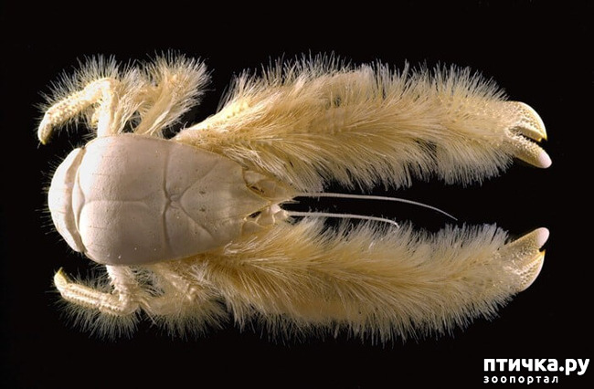 ���� 9: ��� -����� ����� ��������� ��������