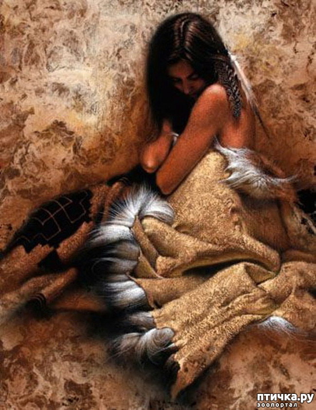 ���� 5: �� � ����� ����