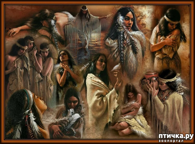 ���� 6: �� � ����� ����