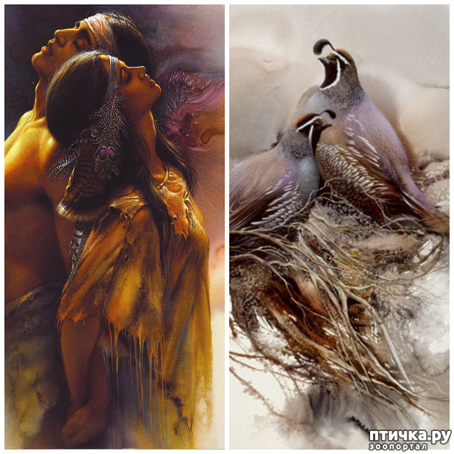 ���� 3: �� � ����� ����