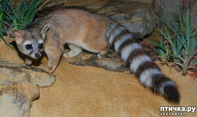 ���� 10: ��� -����� ����� ��������� ��������