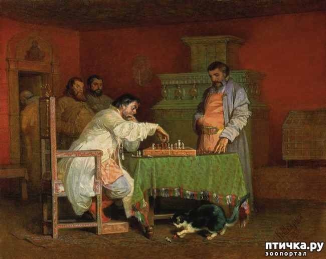 ���� 6: �������� ��������� ��� ������ �� ���� �����!