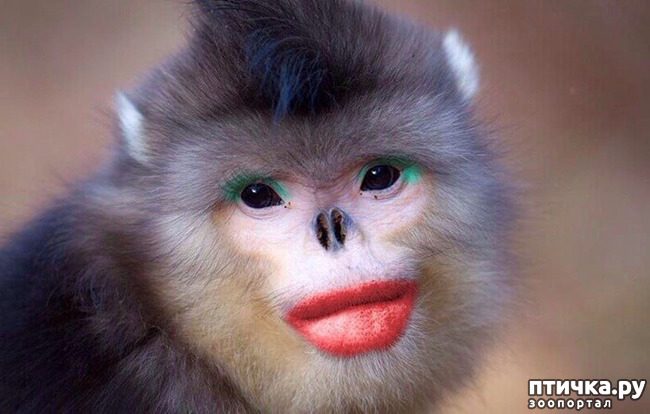 ���� 12: ��� -����� ����� ��������� ��������