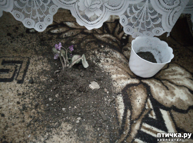 ���� 2: � ����� ����������