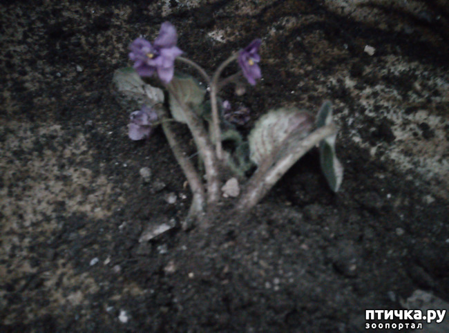 ���� 3: � ����� ����������