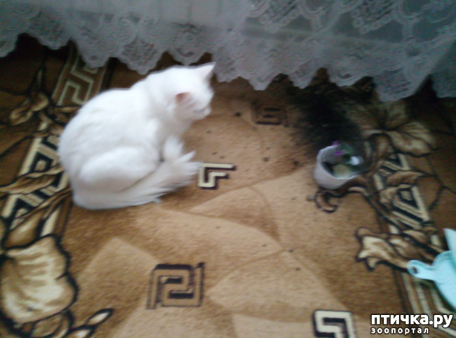 ���� 4: � ����� ����������