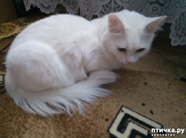 ���� 5: � ����� ����������