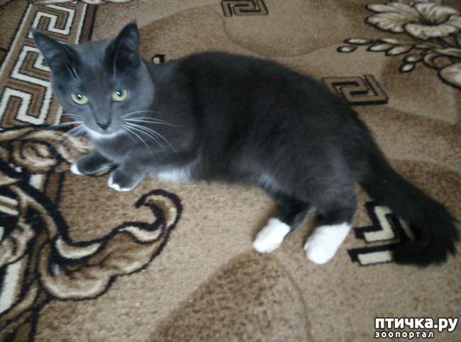 ���� 6: � ����� ����������