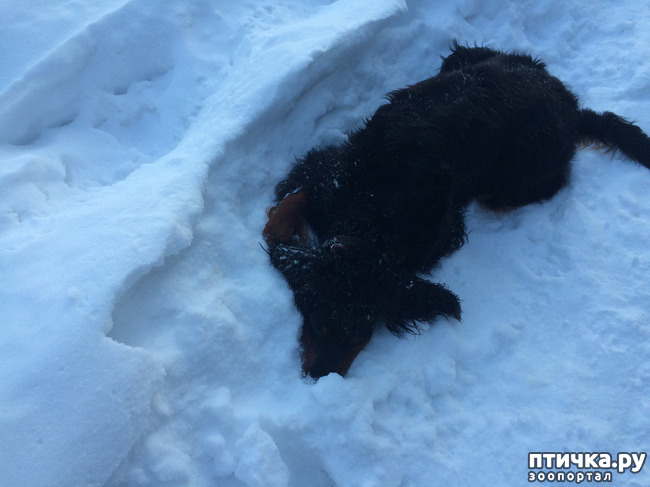 ���� 1: ��� ������-�����������