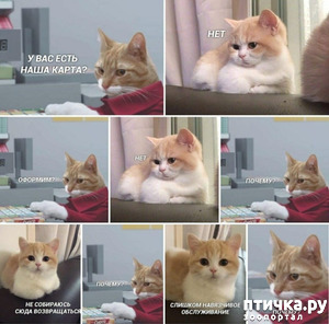 фотография: Немного юмора фото: Немного юмора