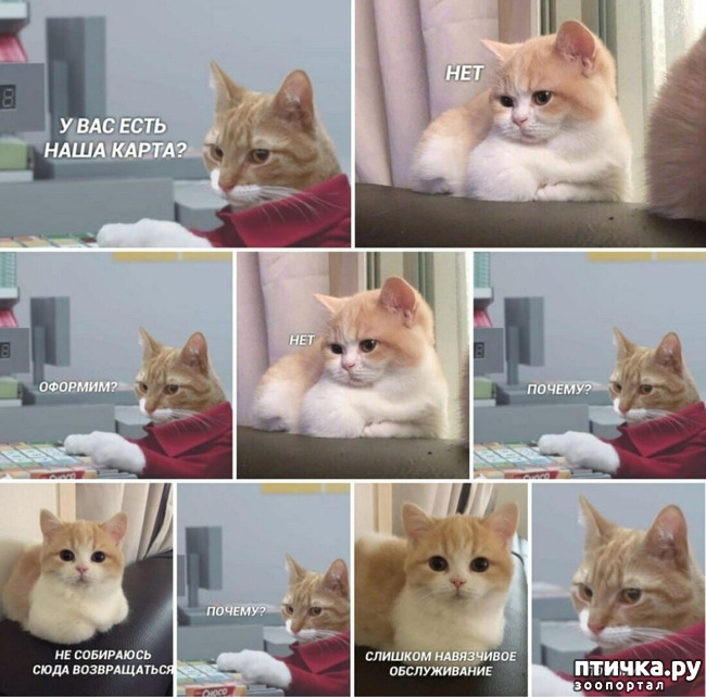 ���� 1: ������� �����