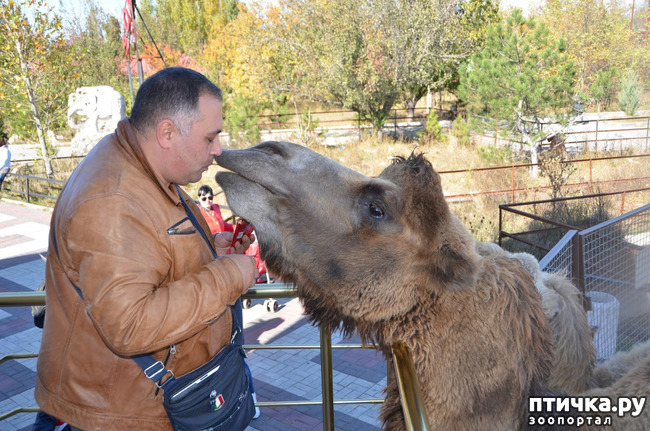 ���� 2: ����������� ���� � ��������������! ���, ������, �� ����� �����.