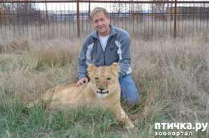 фотография: Поздравляем Лолу с новорожденными! Она, правда, не совем кошка. фото: Поздравляем Лолу с новорожденными! Она, правда, не совем кошка.