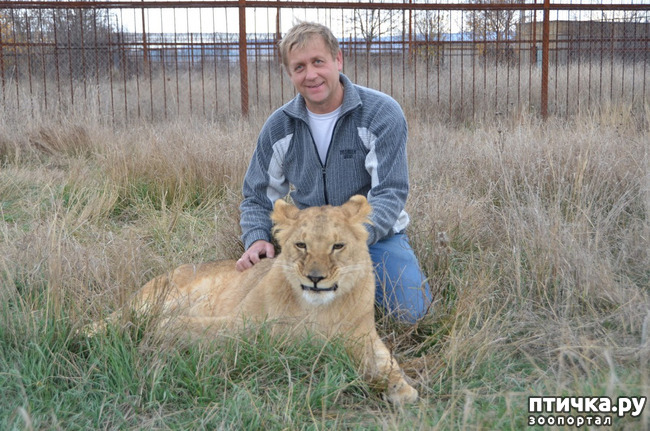 ���� 1: ����������� ���� � ��������������! ���, ������, �� ����� �����.