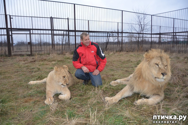 ���� 4: ����������� ���� � ��������������! ���, ������, �� ����� �����.