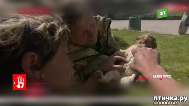 ���� 5: ����������� ���� � ��������������! ���, ������, �� ����� �����.