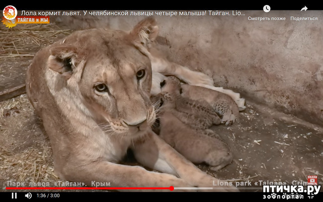 ���� 6: ����������� ���� � ��������������! ���, ������, �� ����� �����.