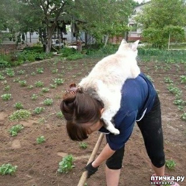 ���� 1: �� � ��������� ��� ������, ������ ������, ��� ����� ����� ����? - ���� �� �������.