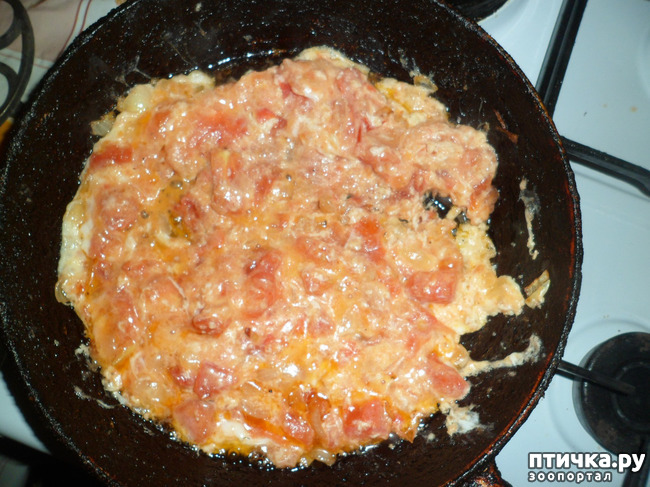 фотография 3: Завтрак по-турецки. Менемен фото 3: Завтрак по-турецки. Менемен