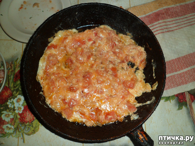 фотография 4: Завтрак по-турецки. Менемен фото 4: Завтрак по-турецки. Менемен