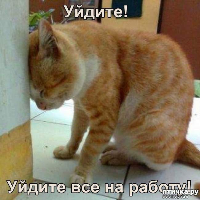 ���� 1: ����� � � ����� ������������� ��������