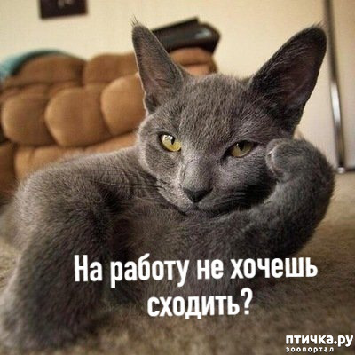 ���� 2: ����� � � ����� ������������� ��������