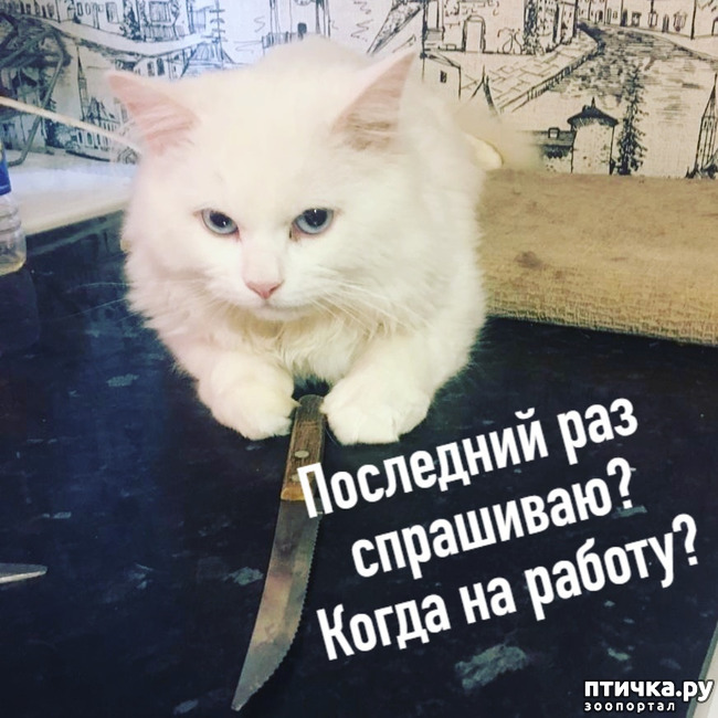 ���� 5: ����� � � ����� ������������� ��������