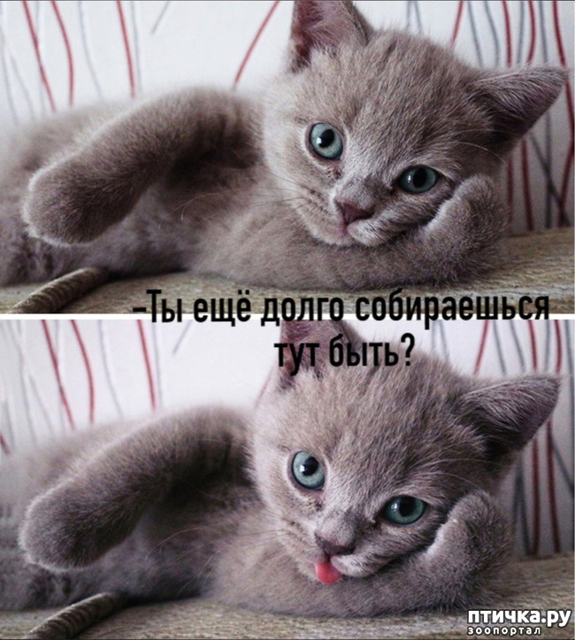 ���� 3: ����� � � ����� ������������� ��������