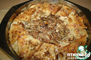 ����: ������������ ������