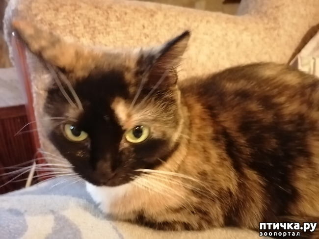 ���� 2: �������� ������ �� ����������� �����!!!