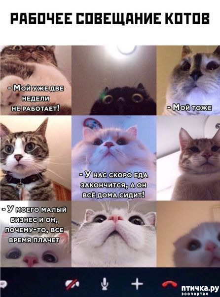 ���� 1: ���-�� � �������� ���������