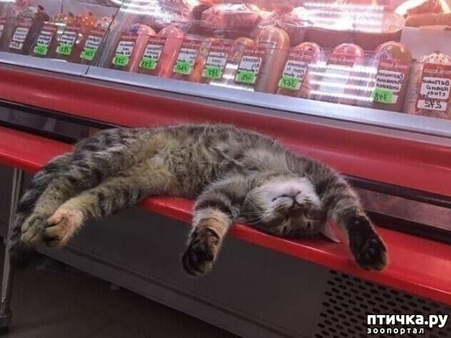 ���� 1: ������������