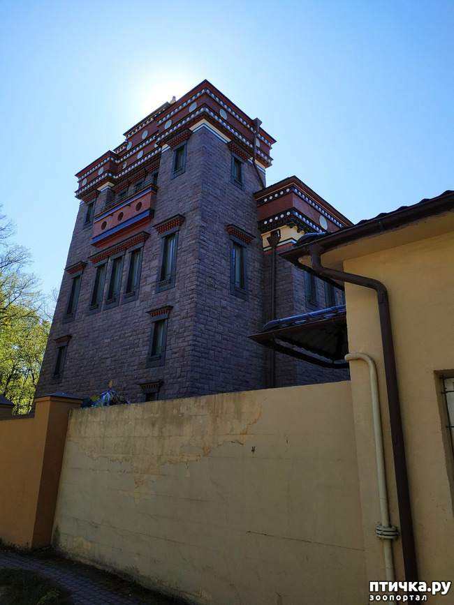 ���� 6: ������������ 3