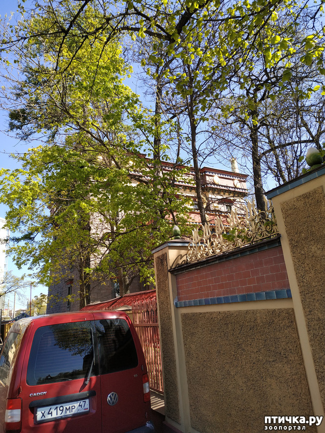 ���� 2: ������������ 3