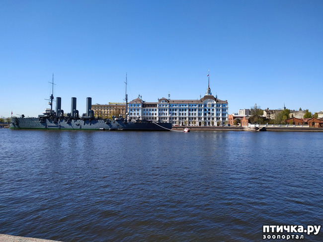 ���� 28: ������������ 3