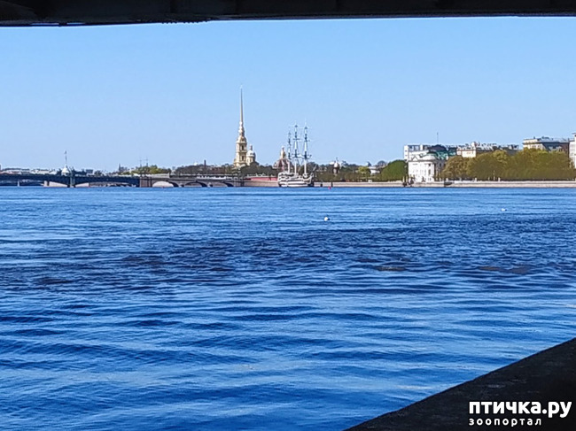 ���� 29: ������������ 3