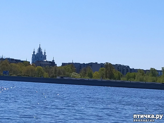 ���� 30: ������������ 3