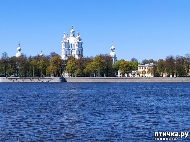 ���� 32: ������������ 3