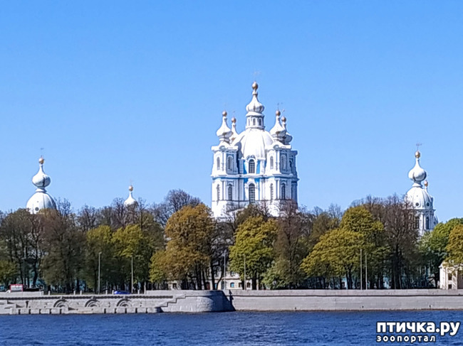 ���� 33: ������������ 3