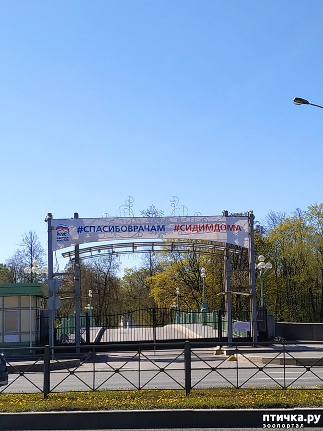 ���� 8: ������������ 3