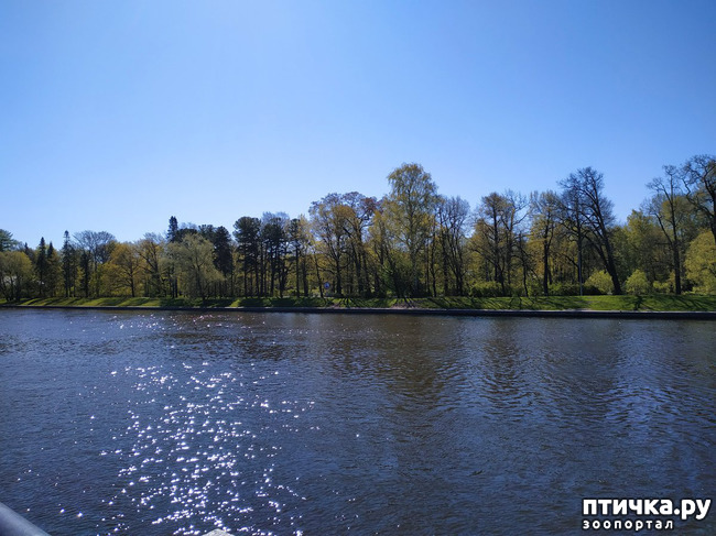 ���� 9: ������������ 3