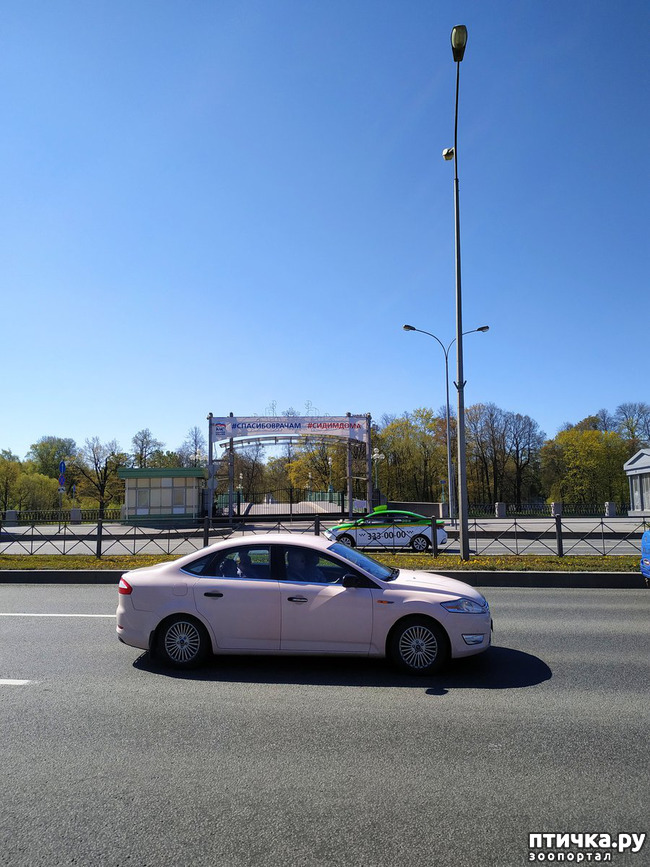 ���� 7: ������������ 3