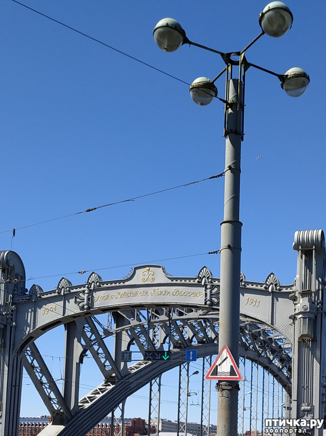 ���� 34: ������������ 3