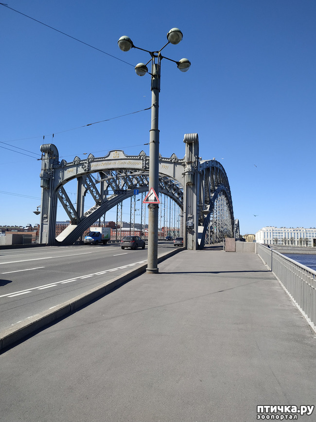 ���� 35: ������������ 3